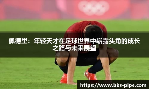 星空·综合体育中国官方网站